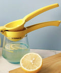 Lemon squeezer over glass