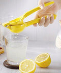 Fresh lemon juice