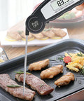 Checking meat temperature