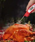 Thermometer in roast turkey