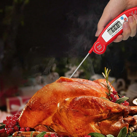 Thermometer in roast turkey