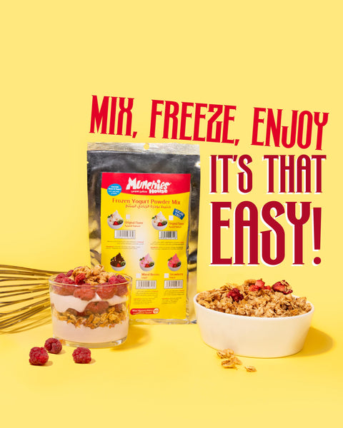 Frozen Yogurt Powder Mix – Original Flavor | Home Use