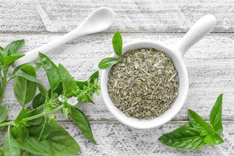Organic Basil  - Flavorful Culinary Herb