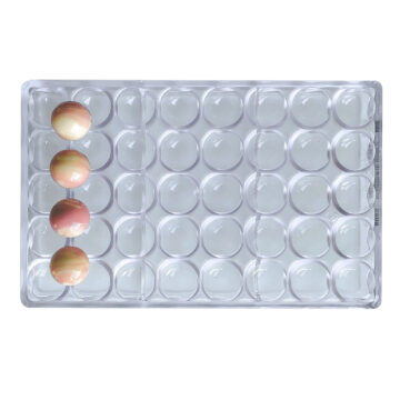 40 Cavities Sphere Ball Polycarbonate Chocolate Mould 27.5x17cm