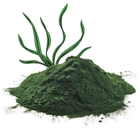 Organic Spirulina Powder